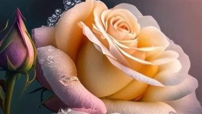 ملاك احيت قلب قاسې بقلم سهام محمد