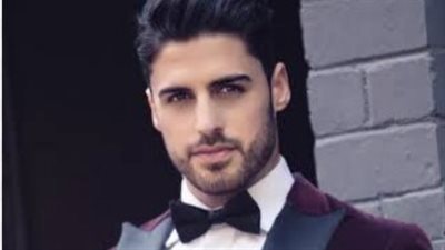 رواية شعيب نبضات بين الوجدان كاملة بقلم شيماء عصمت